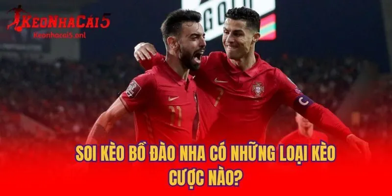 Soi kèo Bồ Đào Nha có những loại kèo cược nào?