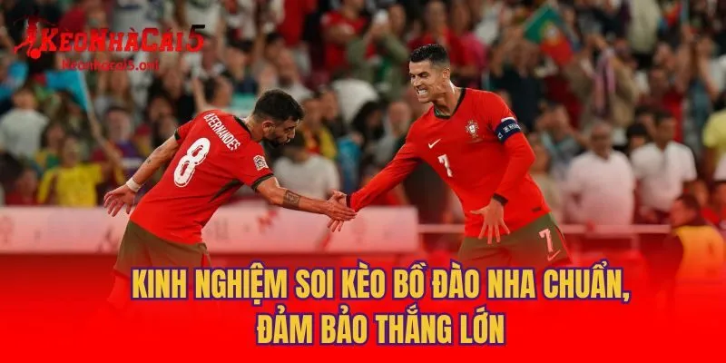 Kinh nghiệm soi kèo Bồ Đào Nha chuẩn, đảm bảo thắng lớn